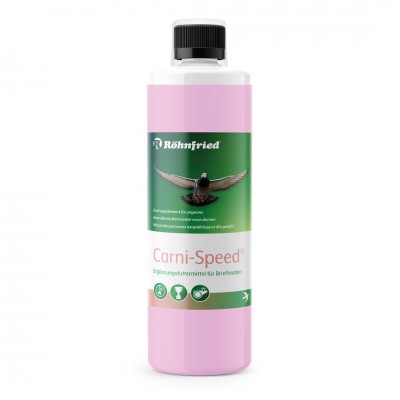 速度与激情 Carni-Speed